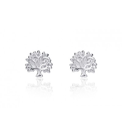 Pendientes plata VICEROY...
