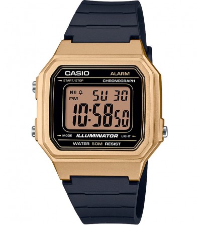 Reloj CASIO COLLECTION...